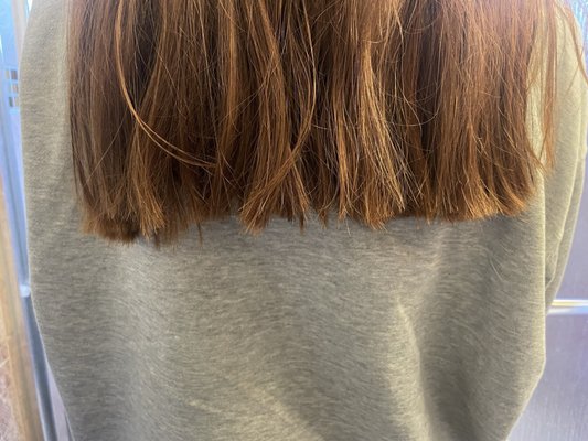 SUPERCUTS by null