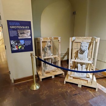 KU Natural History Museum - Museums Near Me - Lawrence, Kansas