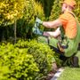 Photo of Moraflor landscaping