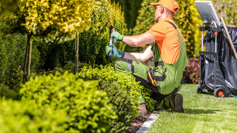 Moraflor landscaping - tree service in Chicago, IL