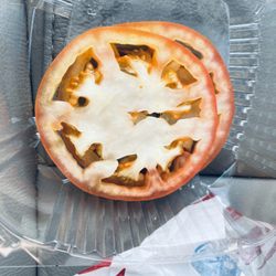 Brooklyn Water Bagels
