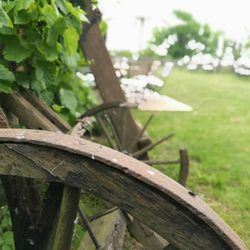 Hofcafé Landlust Schwalbenhof - Aussenansicht