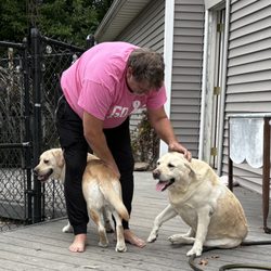 The Dog House, Goshen