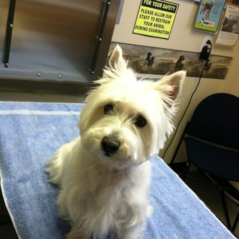 Wiley's Ark Animal Care - Veterinarians Near Me - Holley, New York Wiley's Ark Animal Care - Veterinarians Near Me - Holley, New York