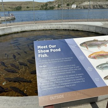 Giant Springs State Park - Parks Near Me - Great Falls, Montana Giant Springs State Park - Parks Near Me - Great Falls, Montana