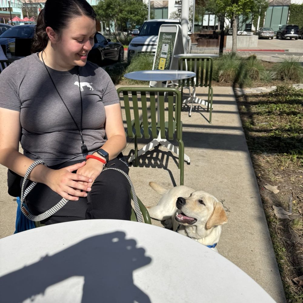 Beyond The Dog - Pet Training Near Me - Houston, Texas