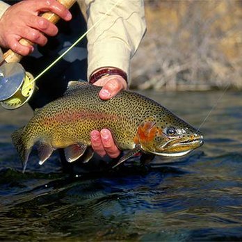 Wild West Rafting - Fly Fishing in Yellowstone - Rafting/Kayaking Near Me - Gardiner, Montana Wild West Rafting - Fly Fishing in Yellowstone - Rafting/Kayaking Near Me - Gardiner, Montana