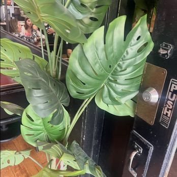 Pizzeria Avellino - Planted outside - Pizza Near Me - San Francisco, California Pizzeria Avellino - Planted outside - Pizza Near Me - San Francisco, California