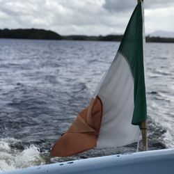 Lily Of Killarney