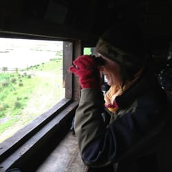 In the blind.