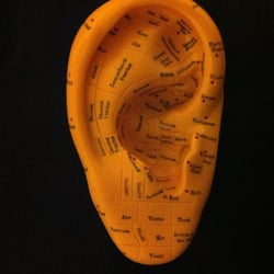 Lizardprints Reflexology - Auricular reflexology