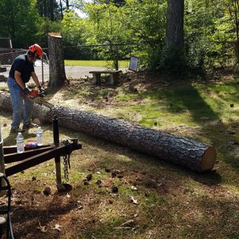 Branching Out Tree Service - Tree Services Near Me - Madison, Alabama