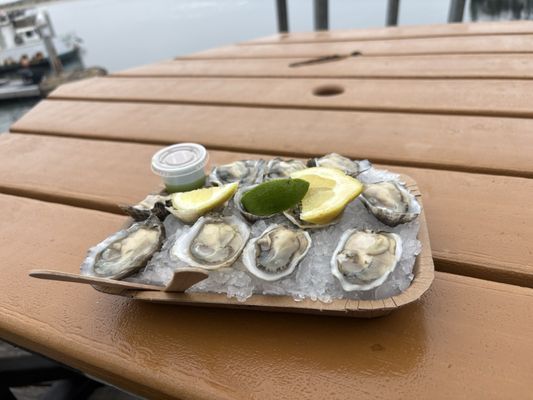 Grassy Bar Oyster Company by null