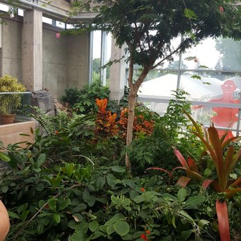 Denver Botanic Gardens - Inside the large glass building. Make sure you visit here - Botanical Gardens Near Me - Denver, Colorado