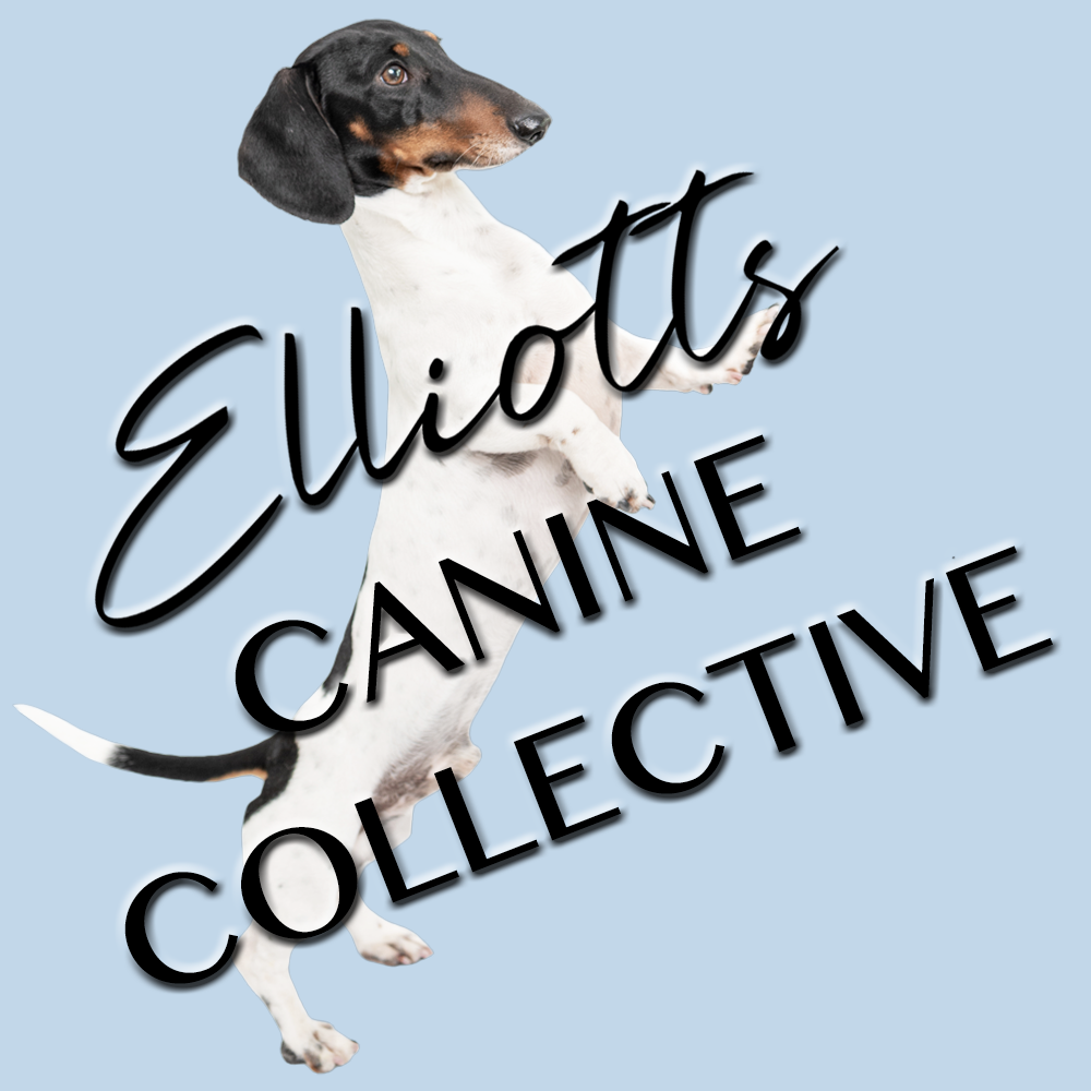 Elliotts Canine Collective - pet boarding facility in Sacramento, CA