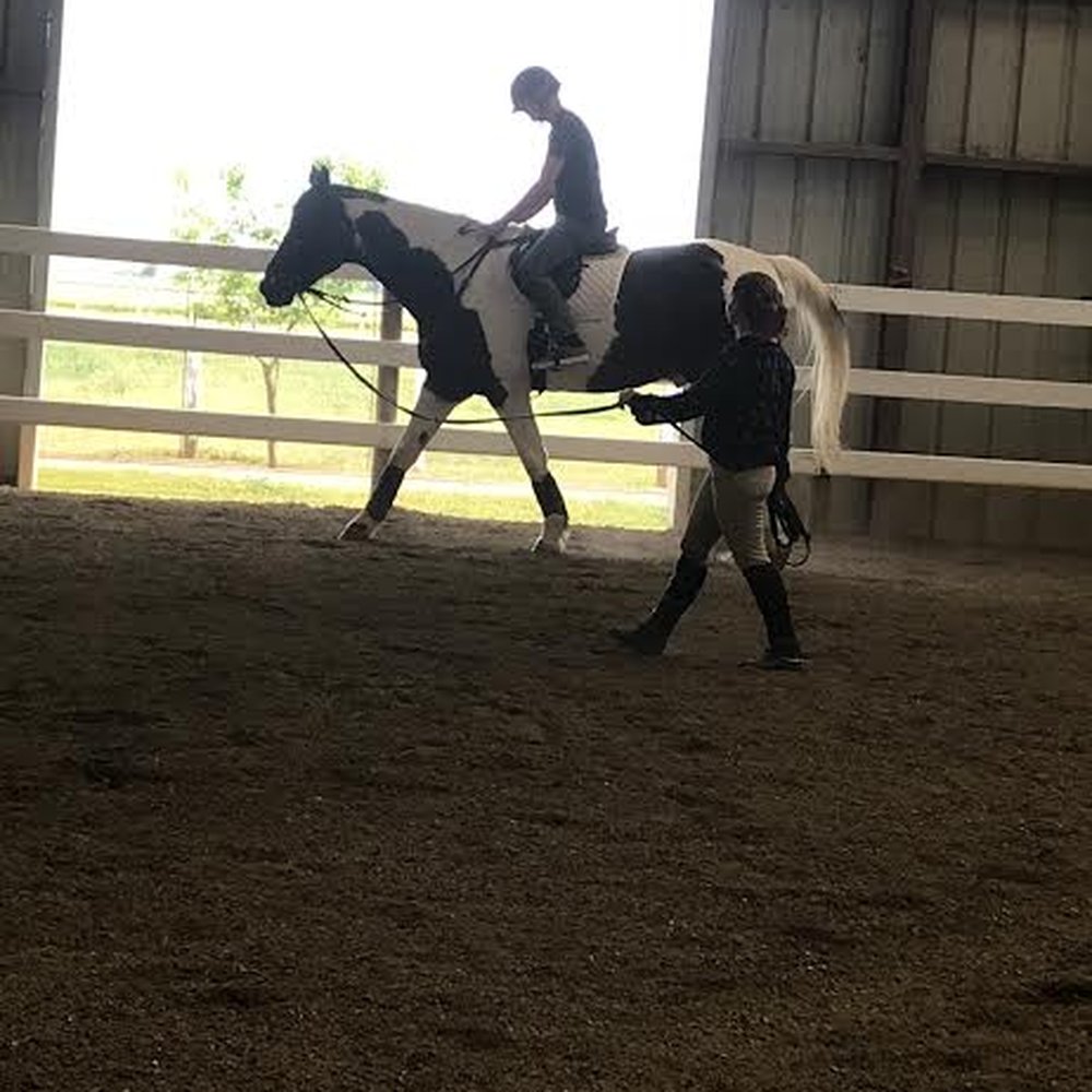 Four Star Farm - 5 minutes in. - Horseback Riding Near Me - Dixon, California