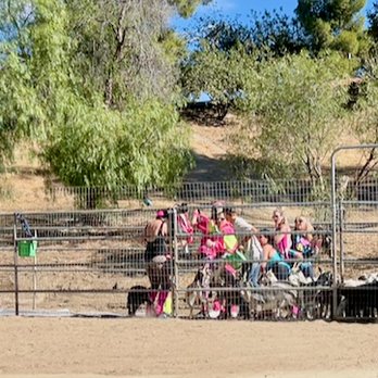 Saddle Up Wine Tours - 80s Ladies & Goat Yoga! - Horseback Riding Near Me - Aguanga, California Saddle Up Wine Tours - 80s Ladies & Goat Yoga! - Horseback Riding Near Me - Aguanga, California