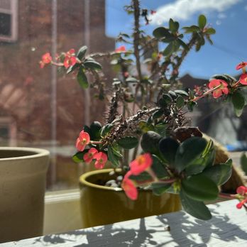 Broad Porch Coffee - Such a beautiful setting. - Coffee & Tea Near Me - Harrisonburg, Virginia Broad Porch Coffee - Such a beautiful setting. - Coffee & Tea Near Me - Harrisonburg, Virginia