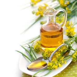 Jedwards International - Canola Oil