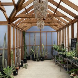 The Prickly Pear - Plant shop