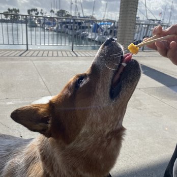 Kamea Poke - Pyro tries poke for the first time. - Poke Near Me - Dana Point, California