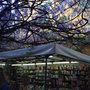 Photo of Librerie Feltrinelli