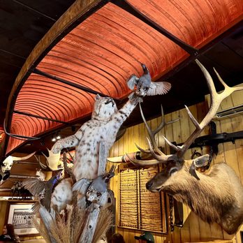 Pioneer Saloon - Taxidermy filling the dining room - Steakhouses Near Me - Ketchum, Idaho Pioneer Saloon - Taxidermy filling the dining room - Steakhouses Near Me - Ketchum, Idaho