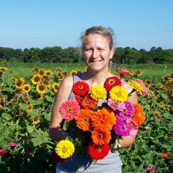 Cervenka Farm - Colorful zinnia bunch
