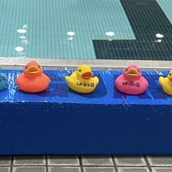 The SOEL Institute - You can get ducked by the SOEL Institute. Sign up for a Lifeguard Certification Class today.