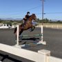 Photo of Blossom Hill Ranch