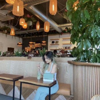 Wild - great place for insta tbh - Coffee & Tea Near Me - Houston, Texas Wild - great place for insta tbh - Coffee & Tea Near Me - Houston, Texas
