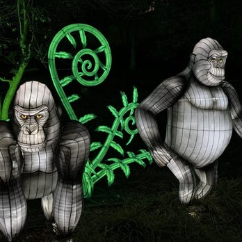 ZooLights - Zoos Near Me - Washington, DC, District of Columbia