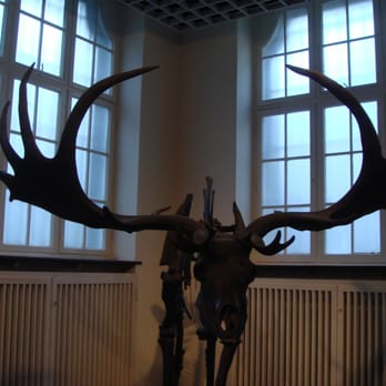 Altonaer Museum - Museums Near Me - Hamburg, HH