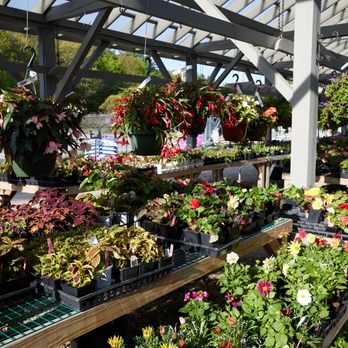 O'Donal's Nursery - Nurseries & Gardening Near Me - Gorham, Maine