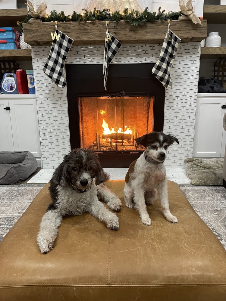 LIFETIME ANIMAL CENTER Updated August 2024 227 SE State Rt 13