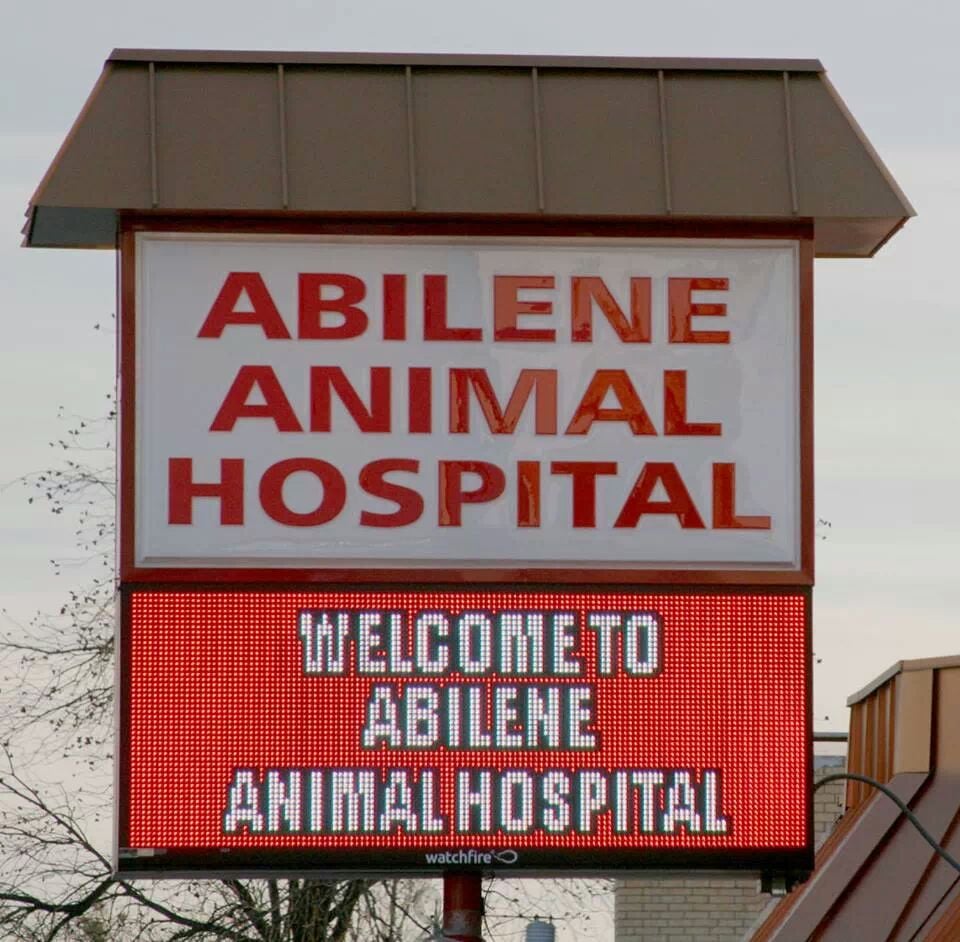 ABILENE ANIMAL HOSPITAL Updated September 2024 950 N Judge Ely Blvd