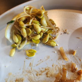 Paul’s Fusion Kitchen - They use fresh whole bean sprouts... very strong with the bean still attached vs without. - Asian Fusion Near Me - Tampa, Florida Paul’s Fusion Kitchen - They use fresh whole bean sprouts... very strong with the bean still attached vs without. - Asian Fusion Near Me - Tampa, Florida