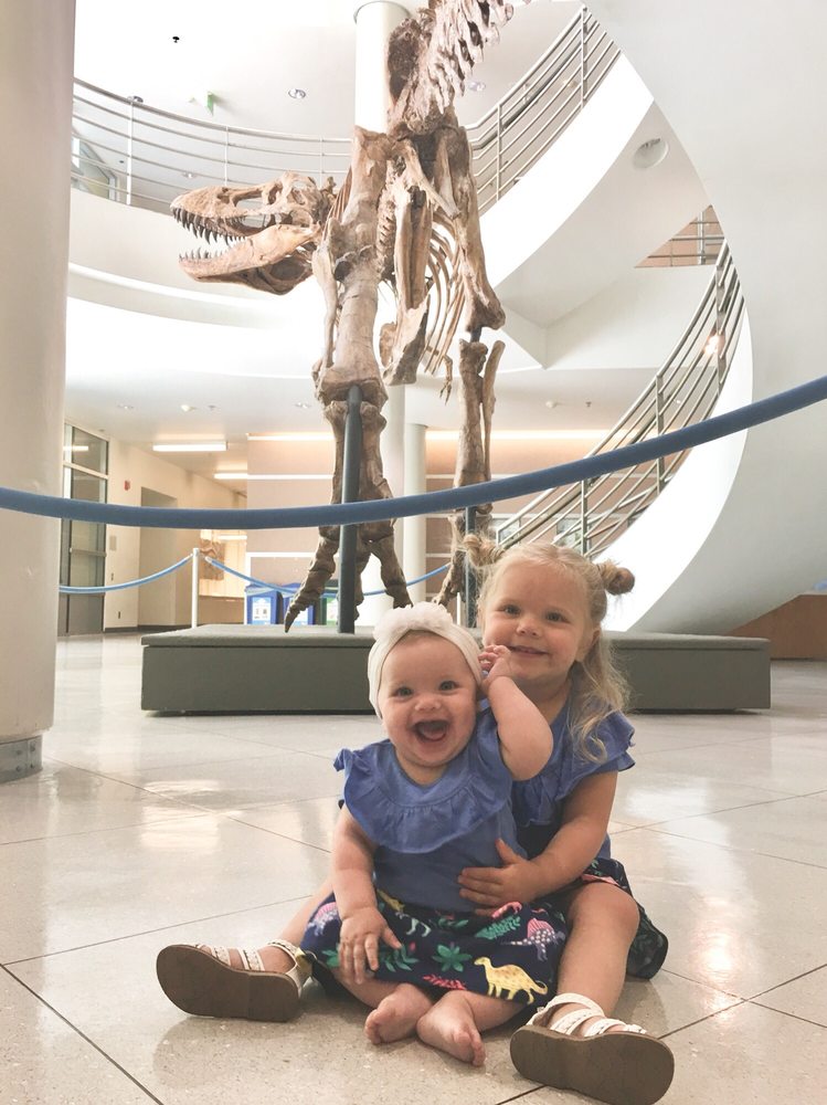 Museum of Paleontology