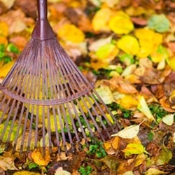 CJS Lawn & Landscaping