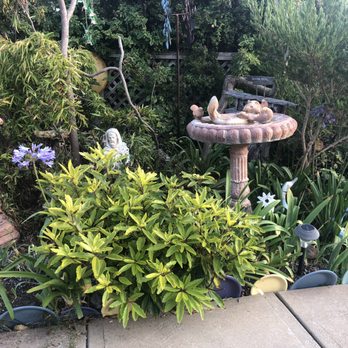 Seaside Motel - Sweet garden out back - Hotels Near Me - Cayucos, California