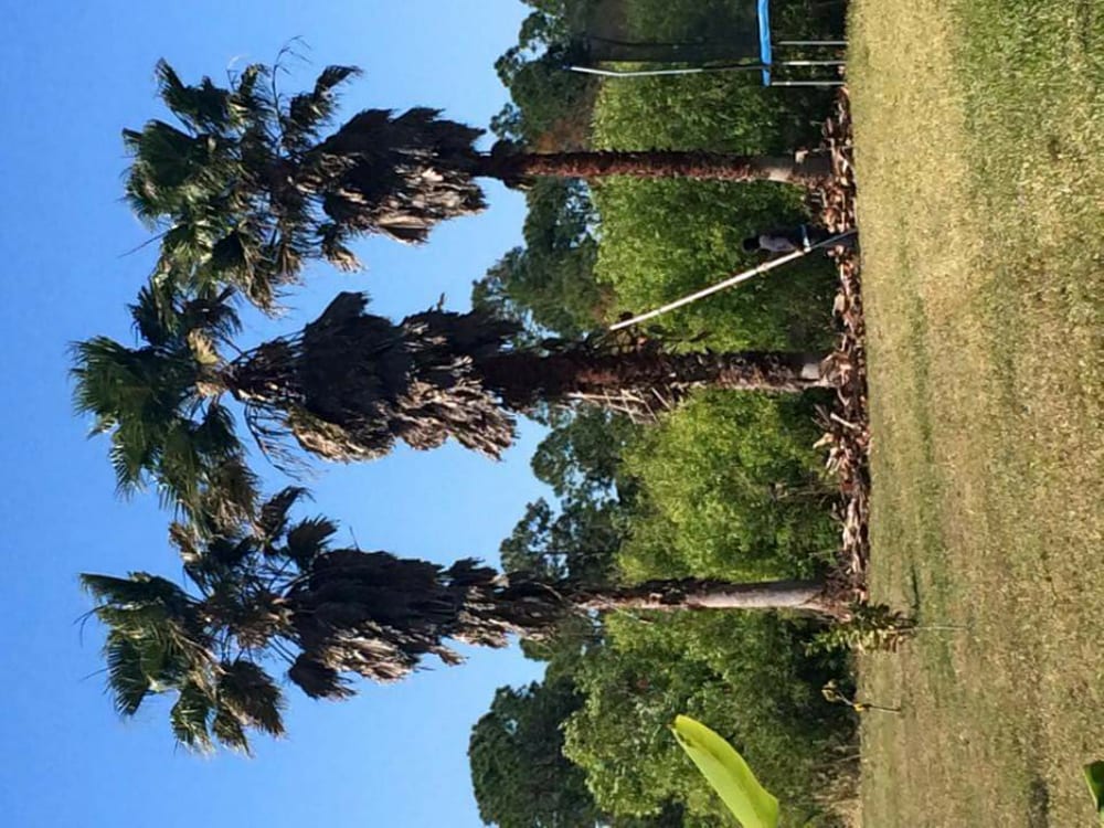 BUSY BLADES LAWN SERVICE Updated September 2024 Jupiter, Florida