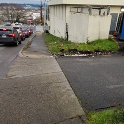 Styrofoam spreading down the hill