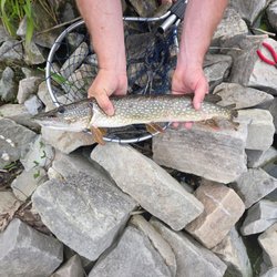 Lake Kegonsa State Park - Pike from the lake