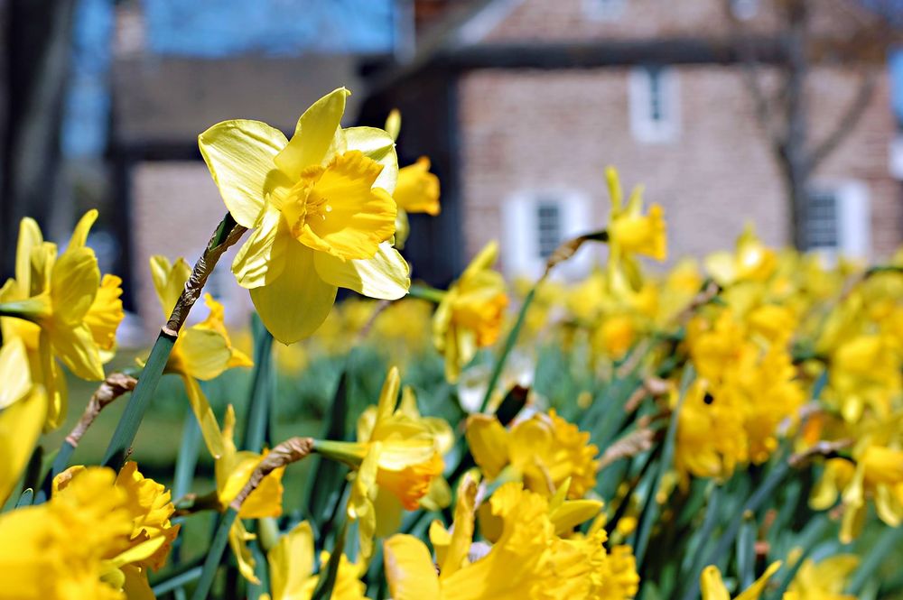 Social spots from Washington Crossing Historic Park
