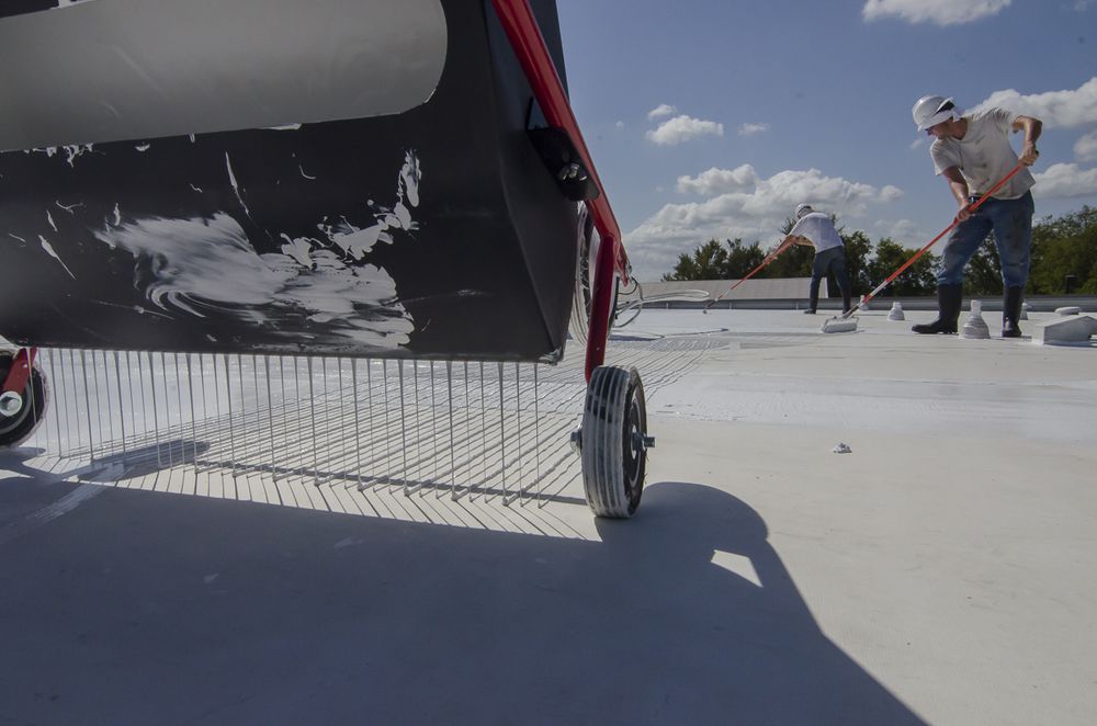 Slide of Freetail Roofing