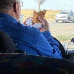 Salt Lake Express - Salt Lake Express driver steering with his knees?