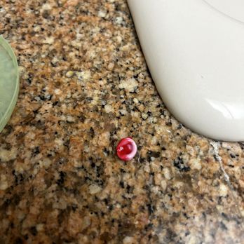McDonald's - Pill from fountain soda - Fast Food Near Me - San Rafael, California McDonald's - Pill from fountain soda - Fast Food Near Me - San Rafael, California