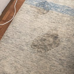 Dupont Circle Carpet Cleaning - Still stained despite "Daniel" or "David"'s insistence.