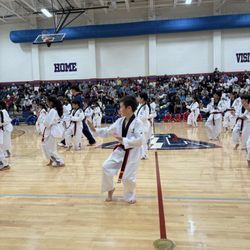 Leaders Taekwondo Firethorne