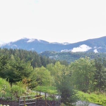 Dancing Bee Apiary - a view of a mountain valley - Health Markets Near Me - Eatonville, Washington